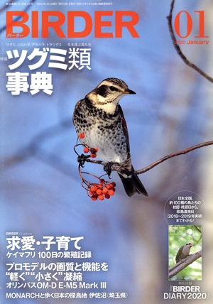 BIRDER(2020年1月号) 月刊誌