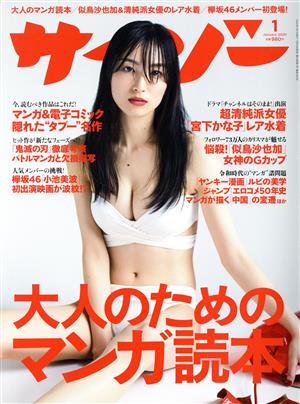 サイゾー(1 Jan 2020) 月刊誌