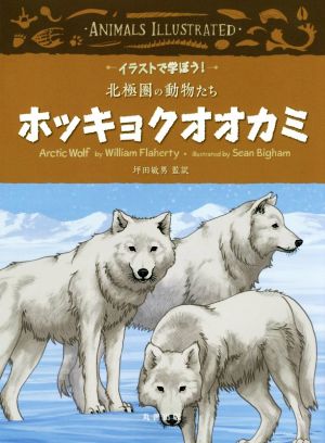 ホッキョクオオカミイラストで学ぼう！北極圏の動物たち