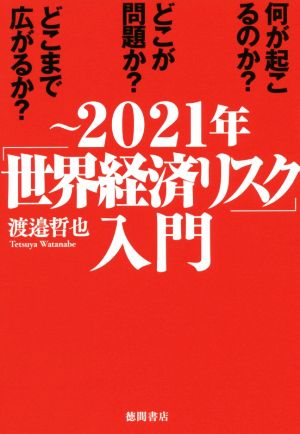 ～2021年「世界経済リスク」入門 何が起こるのか？どこが問題か？どこまで広がるのか？