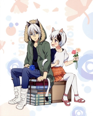 うちタマ?! ～うちのタマ知りませんか？～5(完全生産限定版)