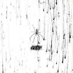 PEST(初回限定盤A)(DVD付)