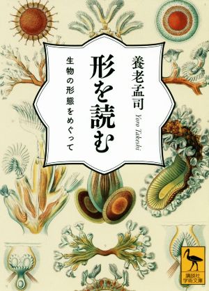 形を読む生物の形態をめぐって講談社学術文庫