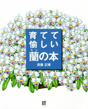 育てて愉しい蘭の本花ひらいたランが輝く斉藤正博の栽培スタイル