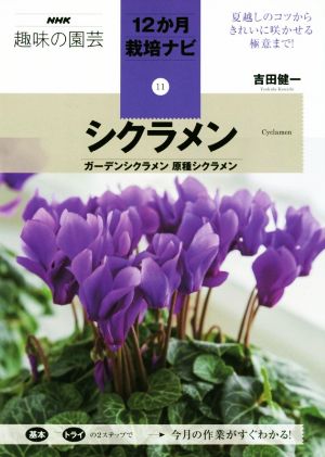 趣味の園芸 シクラメン ガーデンシクラメン 原種シクラメン 夏越しのコツからきれいに咲かせる極意まで！ NHK趣味の園芸 12か月栽培ナビ11