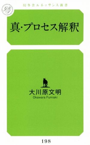 真・プロセス解釈 幻冬舎ルネッサンス新書