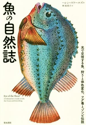 魚の自然誌光で交信する魚、狩りと体色変化、フグ毒とゾンビ伝説