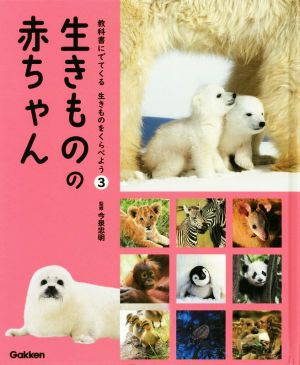 生きものの赤ちゃん 教科書にでてくる生きものをくらべよう 3