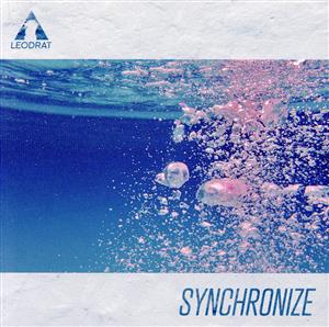 SYNCHRONIZE