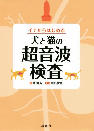 イチからはじめる犬と猫の超音波検査