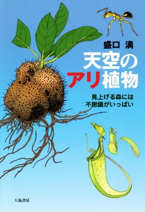 天空のアリ植物 見上げる森には不思議がいっぱい