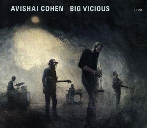 【輸入盤】Avishai Cohen Big Vicious