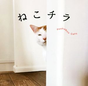 写真集 ねこチラ