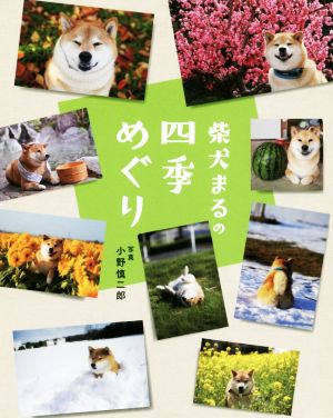 柴犬まるの四季めぐり