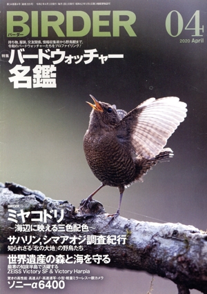 BIRDER(2020年4月号) 月刊誌