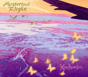 Mysterious Flight