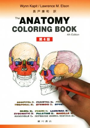 カラースケッチ 解剖学 第4版THE ANATOMY COLORING BOOK