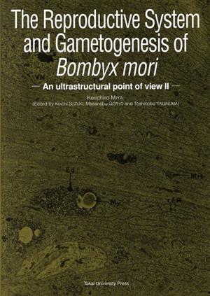英文 The Reproductive System and Gametogenesis of Bombyx mori