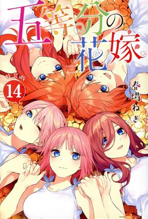 五等分の花嫁(特装版)(14) プレミアムKC