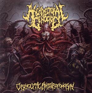 【輸入盤】Cordyceptic Anthropomorph