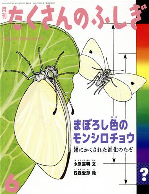 月刊たくさんのふしぎ(6 2020年6月号) 月刊誌