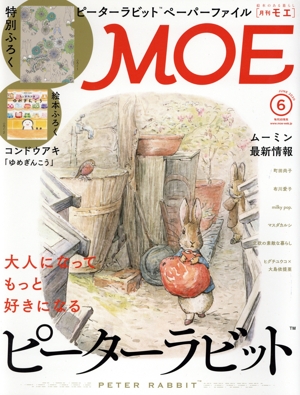MOE(2020年6月号) 月刊誌
