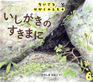 ちいさなかがくのとも(6 2020) いしがきのすきまに 月刊誌