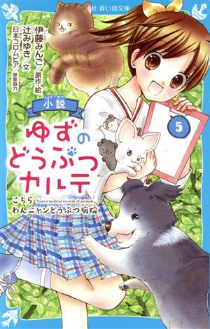 小説 ゆずのどうぶつカルテ(5) こちらわんニャンどうぶつ病院 講談社青い鳥文庫