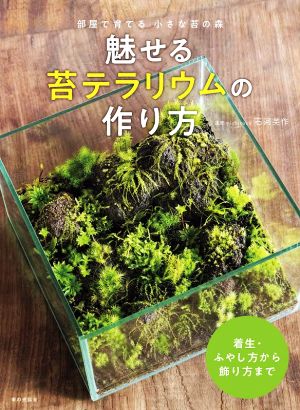 魅せる苔テラリウムの作り方 部屋で育てる小さな苔の森