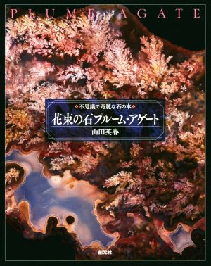 花束の石 プルーム・アゲート 不思議で奇麗な石の本