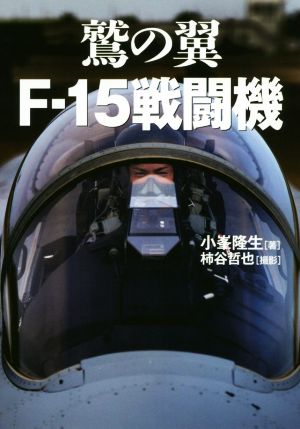 鷲の翼 F-15戦闘機