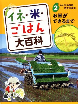 イネ・米・ごはん大百科(2) お米ができるまで