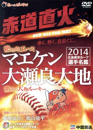 球団公認 2014 広島東洋カープ 選手名鑑 赤道直火