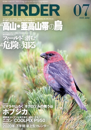 BIRDER(2020年7月号) 月刊誌