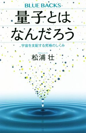 量子とはなんだろう 宇宙を支配する究極のしくみ ブルーバックス