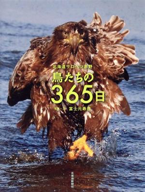 鳥たちの365日 北海道サロベツ原野