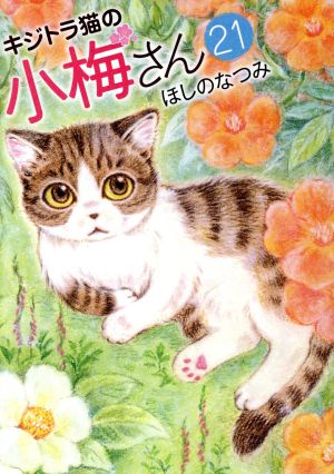 キジトラ猫の小梅さん(21) ねこぱんちC