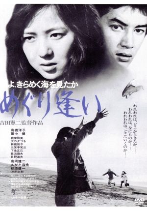 鴎よ、きらめく海を見たか めぐり逢い