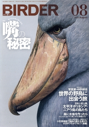 BIRDER(2020年8月号) 月刊誌