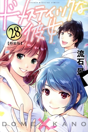 ドメスティックな彼女(特装版)(28) プレミアムKC
