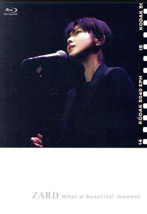 ZARD LIVE 2004“What a beautiful moment