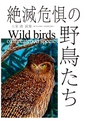 絶滅危惧の野鳥たち 大室清画集