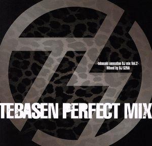TEBASEN PERFECT MIX -tebasaki sensation DJ mix Vol.2-