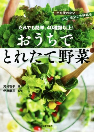 だれでも簡単、40種類以上！おうちでとれたて野菜 土を使わない安心・安全な水耕栽培