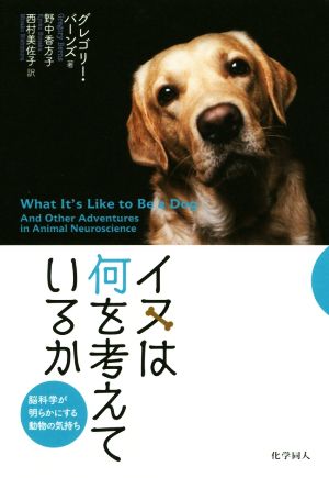 イヌは何を考えているか 脳科学が明らかにする動物の気持ち