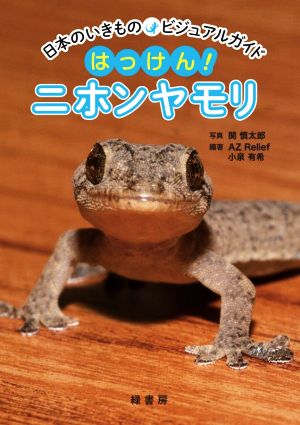 はっけん！ニホンヤモリ日本のいきもの ビジュアルガイド