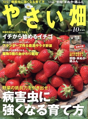 やさい畑(2020 10 秋号) 隔月刊誌