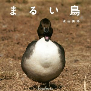 まるい鳥 Parade Books