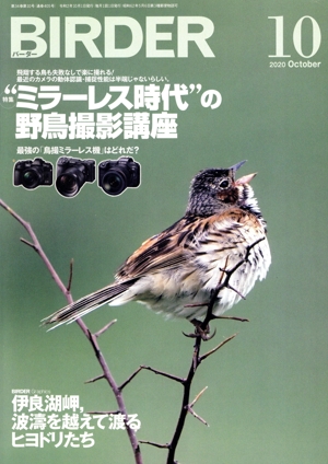 BIRDER(2020年10月号) 月刊誌