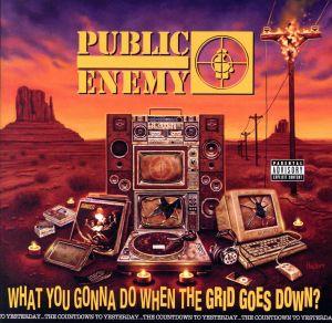 【輸入盤】What You Gonna Do When The Grid Goes Down？